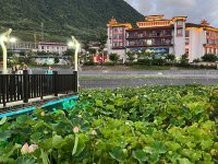 D5_墨脱的夜晚_5_又菜又闹不想变老_来自小红书网页版.jpg