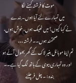 1780428780696.png