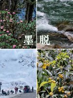 调整大小 微信图片_20231124145901.jpg