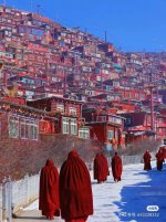 调整大小 微信图片_20231224200748.jpg