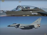PAF 01.jpg