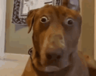 1780923119054.png