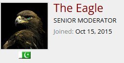 THe Eagle.jpg