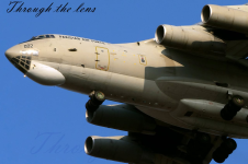 1781200859519.png