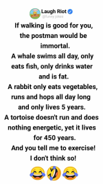 1781352391230.png