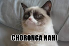 Grumpy cat .png