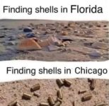 1781886806677.jpeg