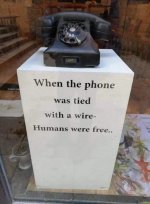 1782545490860.jpeg