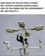 1782951592858.jpeg