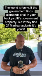 1783369592729.png 1783369592729.png
