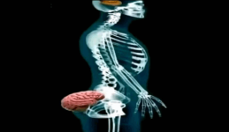 1783535789378.png