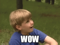 56ngrf.gif 56ngrf.gif