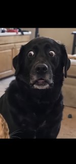 HJv94n4XwAE55zJ.jpg