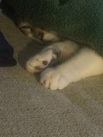 IMG_3475.jpeg