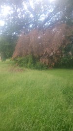 IMG_20260715_131809800.jpg