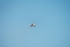 IMG_5955.jpeg