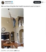 1784326986322.jpeg