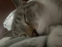IMG_3521.jpeg