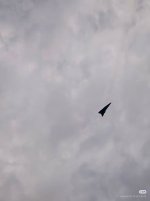 IMG_0315.jpeg