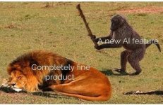 1785273498749.jpeg