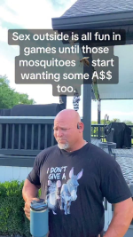 1785323316415.png