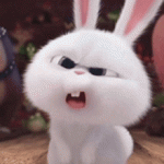 1785366434260.gif 1785366434260.gif