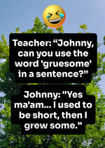 1785528289620.png