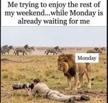 1785665213638.jpeg