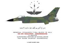 Aggressors - Camo.jpg Aggressors - Camo.jpg