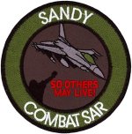 F-16 - Combat Sar.jpg