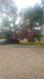 IMG_20260804_193452386.jpg