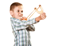 1786175973177.png 1786175973177.png