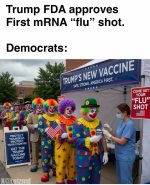 1786213526573.jpeg 1786213526573.jpeg