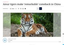 240223022536.png