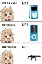1786639372039.jpeg