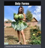 1787062953271.png