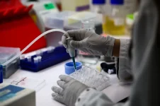 2025-11-27T113230Z_1440396007_RC203IAW4FYN_RTRMADP_3_HEALTH-BIRDFLU-FRANCE.JPG.webp