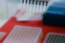 2023-05-17T192211Z_95070097_RC2RL0ACHDDO_RTRMADP_3_BRAZIL-AVIAN-FLU.JPG.webp