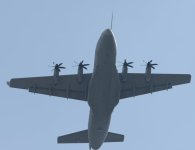 IMG_3058.jpeg