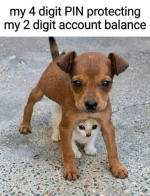 1787242731294.png