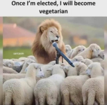 1787248795212.png