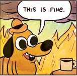 this-is-fine.jpg