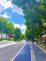 苏州河畔惬意滴骑行时光🚲_2_Vivienne_来自小红书网页版.jpg