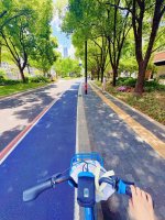 苏州河畔惬意滴骑行时光🚲_8_Vivienne_来自小红书网页版.jpg