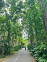 找个阴凉地儿骑行～顾村公园外围绿道_6_到山里遛娃_来自小红书网页版.jpg