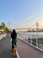 一起去江边骑行看日落吧_上海骑行路线_5_素食小甜高_来自小红书网页版.jpg