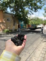 在伊宁📍喀赞其，我找到了最本真的生活美学_10_夏无意_来自小红书网页版.jpg