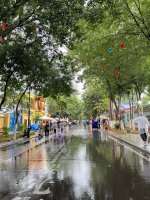 522伊宁的雨如期而至_1_momo_来自小红书网页版.jpg
