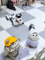 2026世界机器人大会打卡🤖✨_3_欧尼酱_来自小红书网页版.jpg