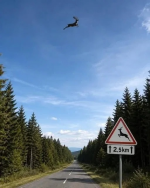 1787558576671.png